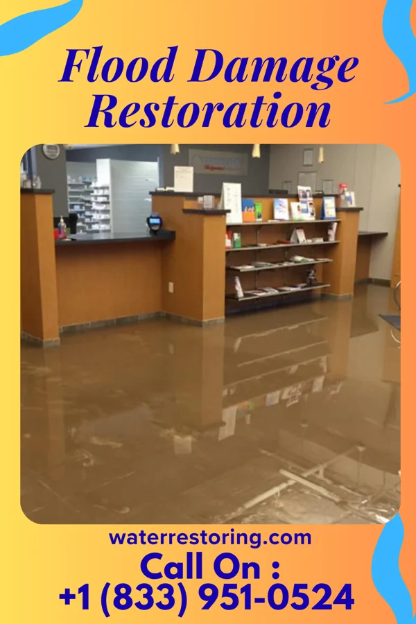 Flood Damage Restoration in Mishicot, WI