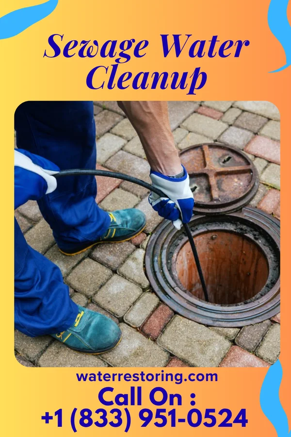 Sewage Water Cleanup in Mishicot, WI